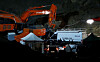 penis ring paradise hotel tine penis ring paradise hotel tine